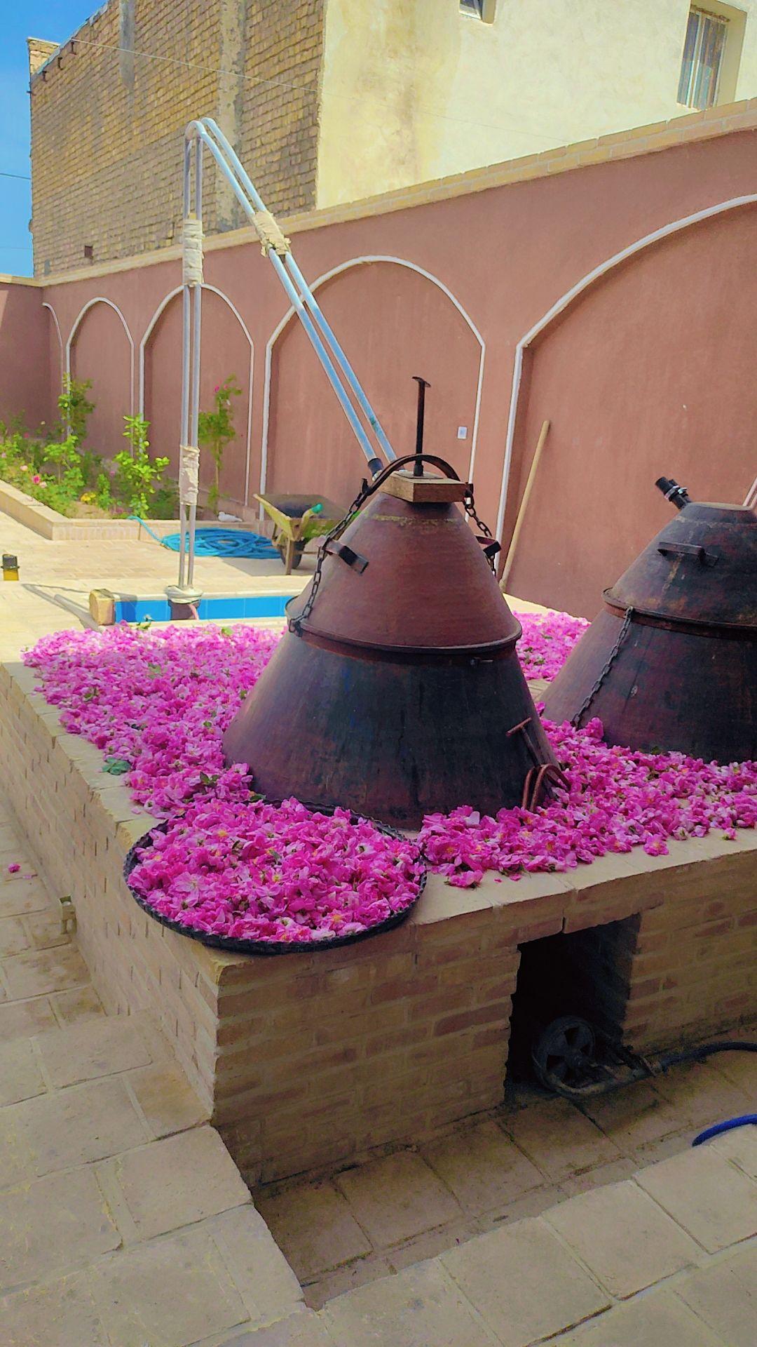 عکس کارگاه گلابگیری سرای گل