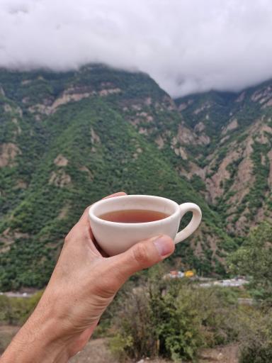 عکس دراسرا
