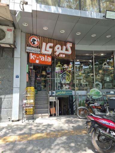 عکس پت شاپ گیوی