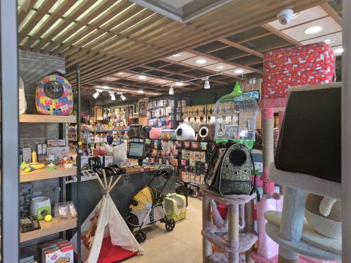 عکس پت شاپ گیوی