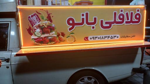 عکس فلافلی بانو 