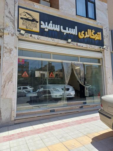 عکس اتوگالری اسب سفید