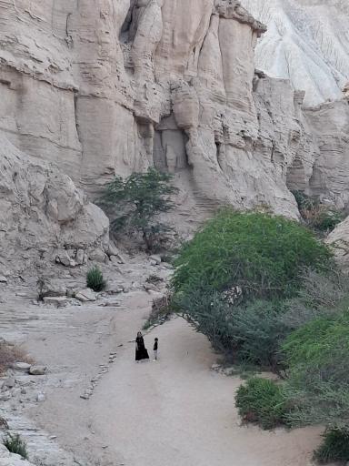 عکس قشم