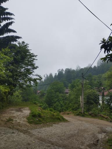عکس دراسرا