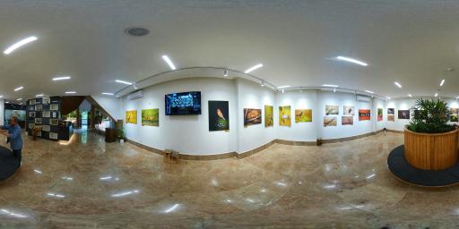 عکس سایت پرنده نگری بوستان وکیل آباد