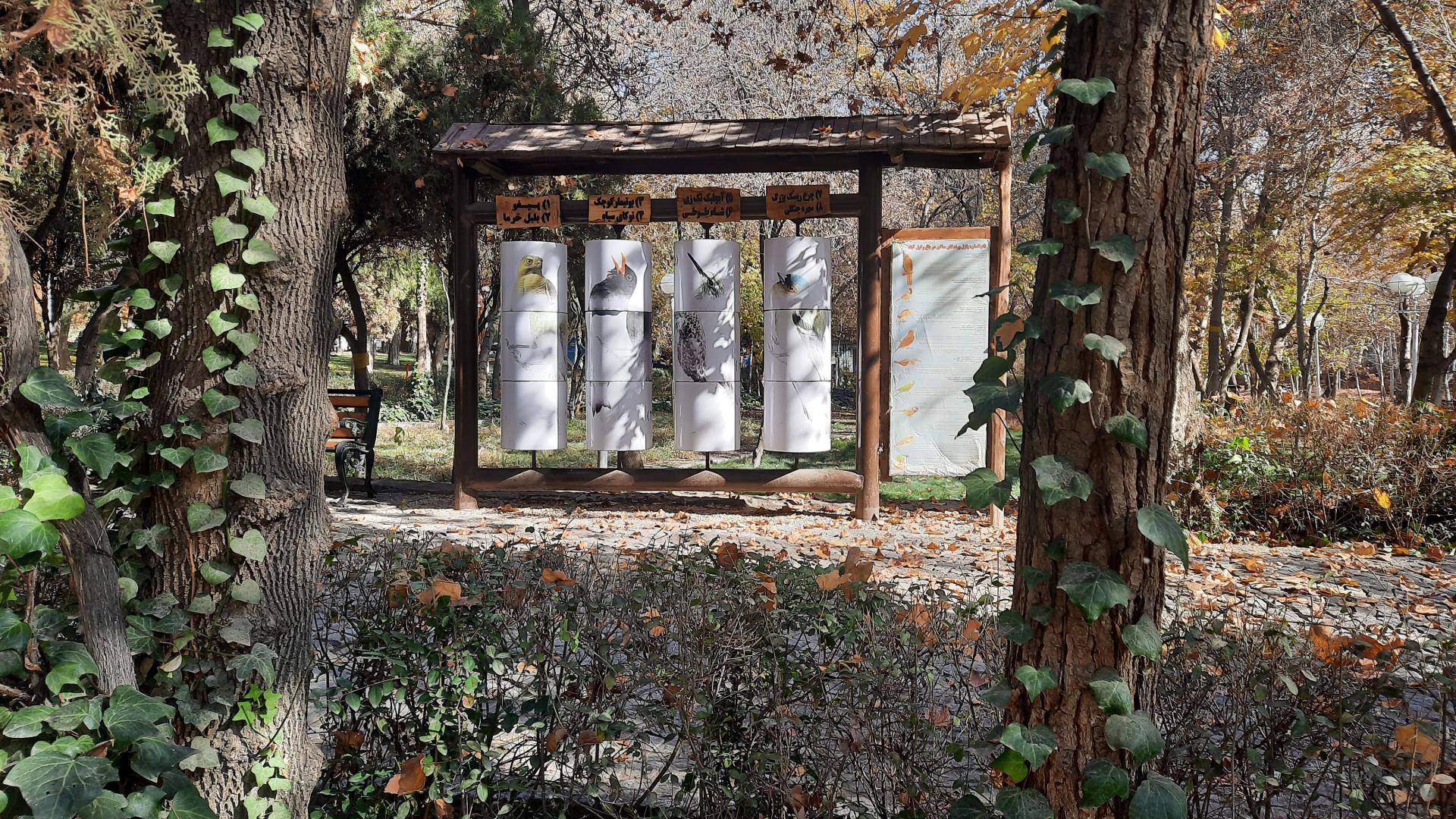 عکس سایت پرنده نگری بوستان وکیل آباد
