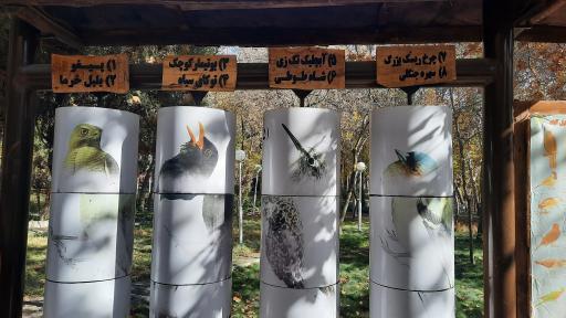 عکس سایت پرنده نگری بوستان وکیل آباد