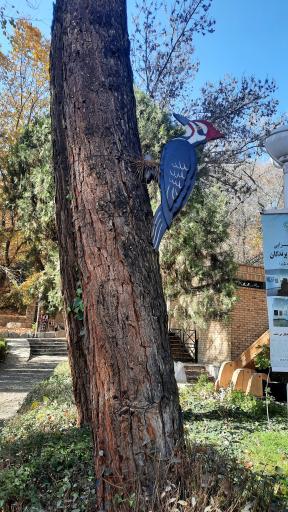 عکس سایت پرنده نگری بوستان وکیل آباد