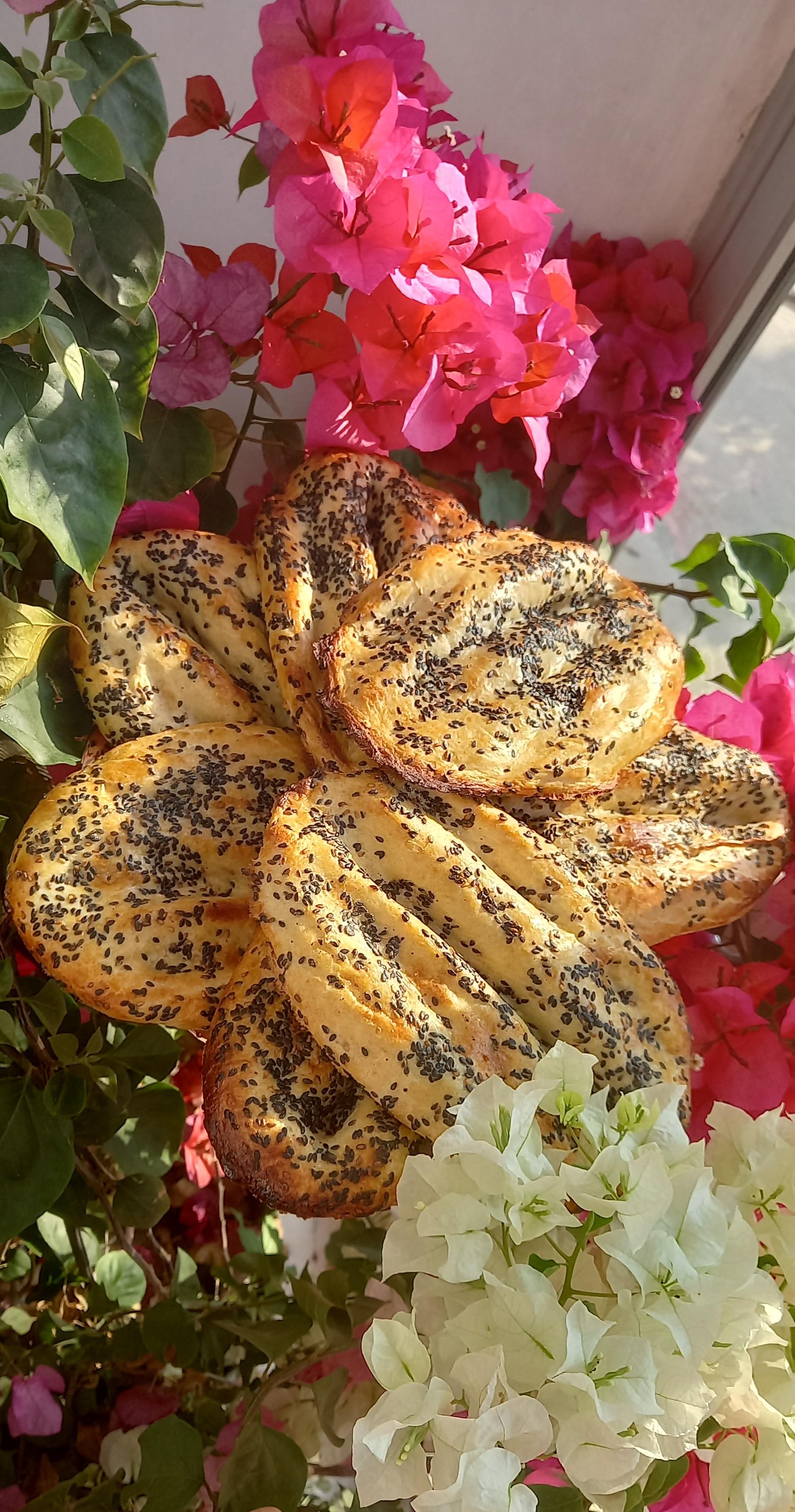 عکس اوت باقلواسی 