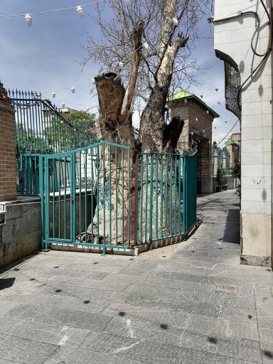 عکس صحن امامزاده یحیی 