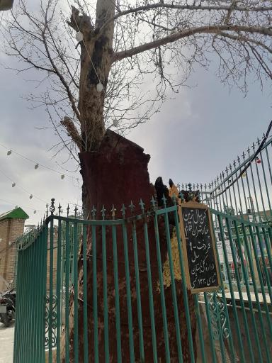 عکس صحن امامزاده یحیی 