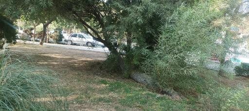 عکس بوستان مهاجران منا