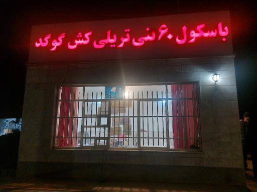 عکس باسکول ۶۰تنی گوگد