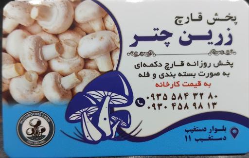 پخش قارچ زرین چتر 