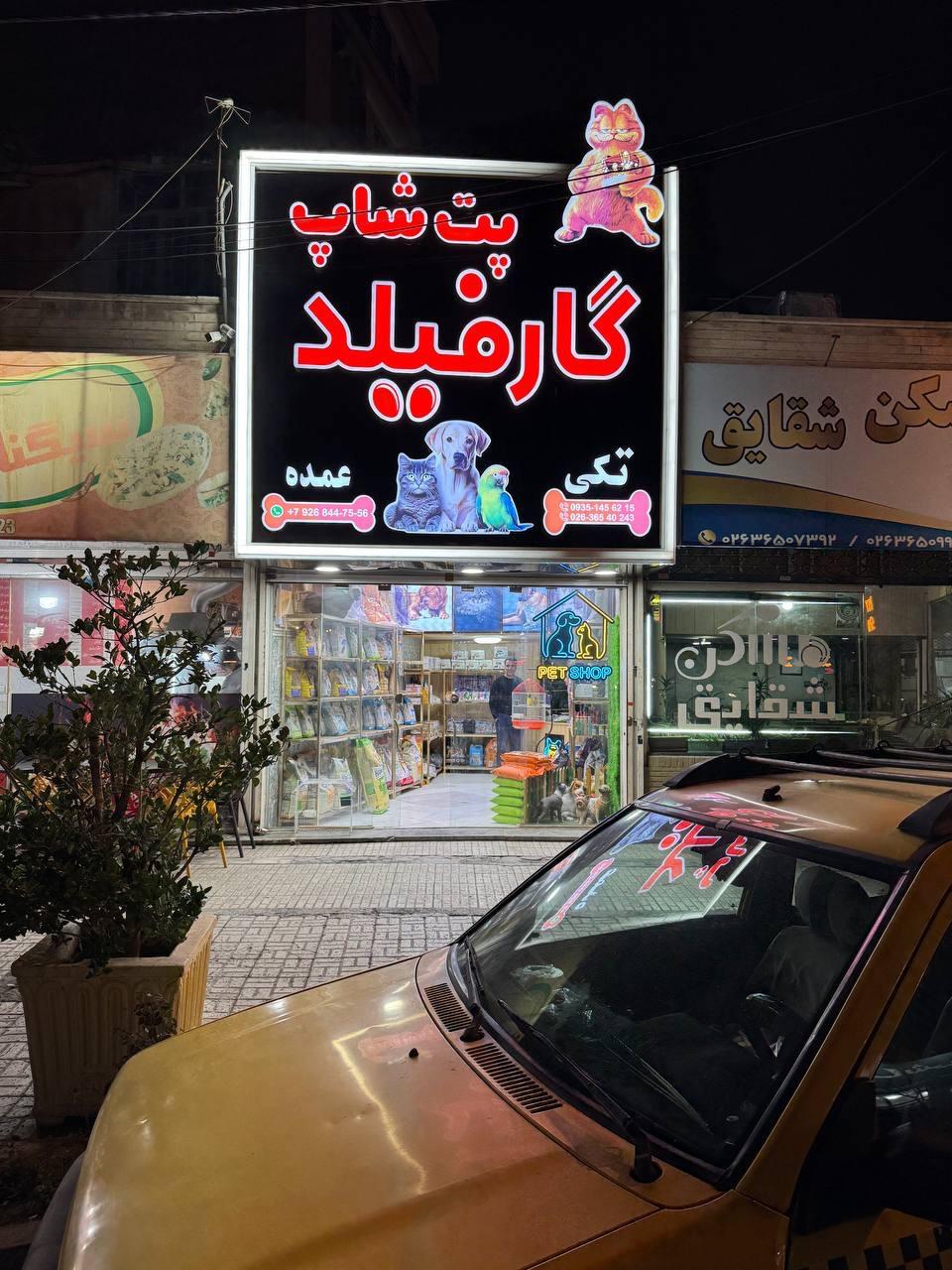 عکس پت شاپ گارفیلد