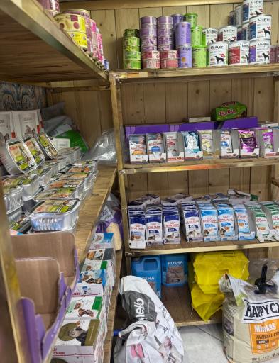 عکس پت شاپ گارفیلد