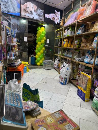 عکس پت شاپ گارفیلد