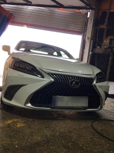 عکس صافکاری بهزاد