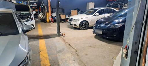 عکس صافکاری بهزاد