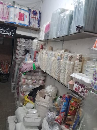 عکس یکبار مصرف نوین پلاست