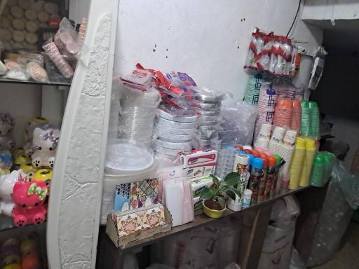 عکس یکبار مصرف نوین پلاست