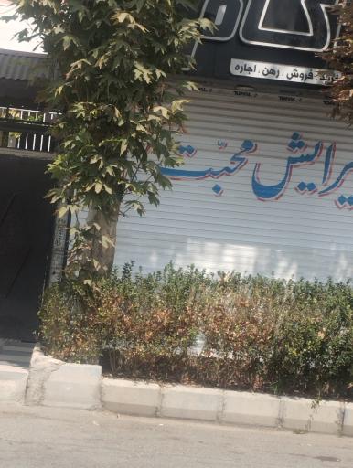 عکس پیرایش محبت