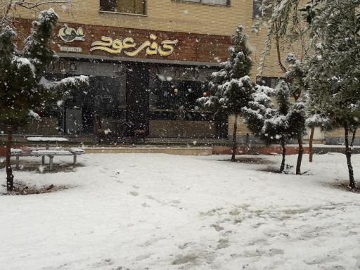 عکس کافی شاپ عود