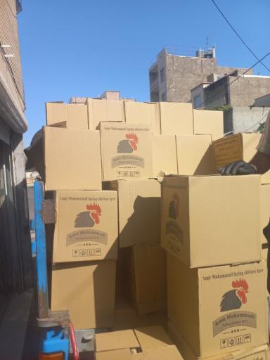عکس پخش مرکزی تخم مرغ شعبه2