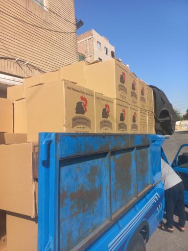 عکس پخش مرکزی تخم مرغ شعبه2