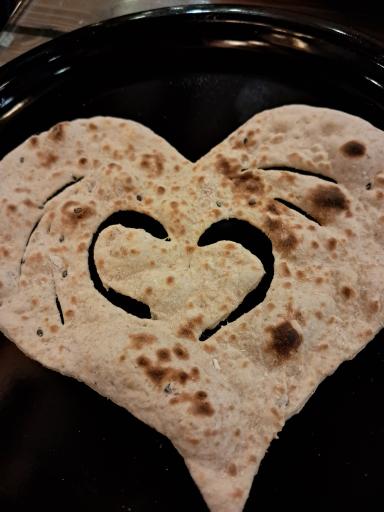 عکس خانه جگر