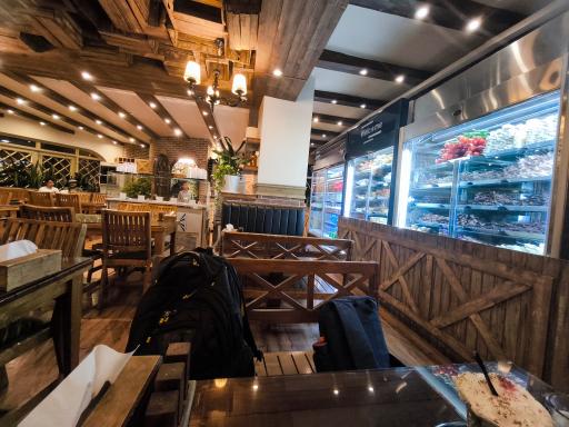 عکس خانه جگر