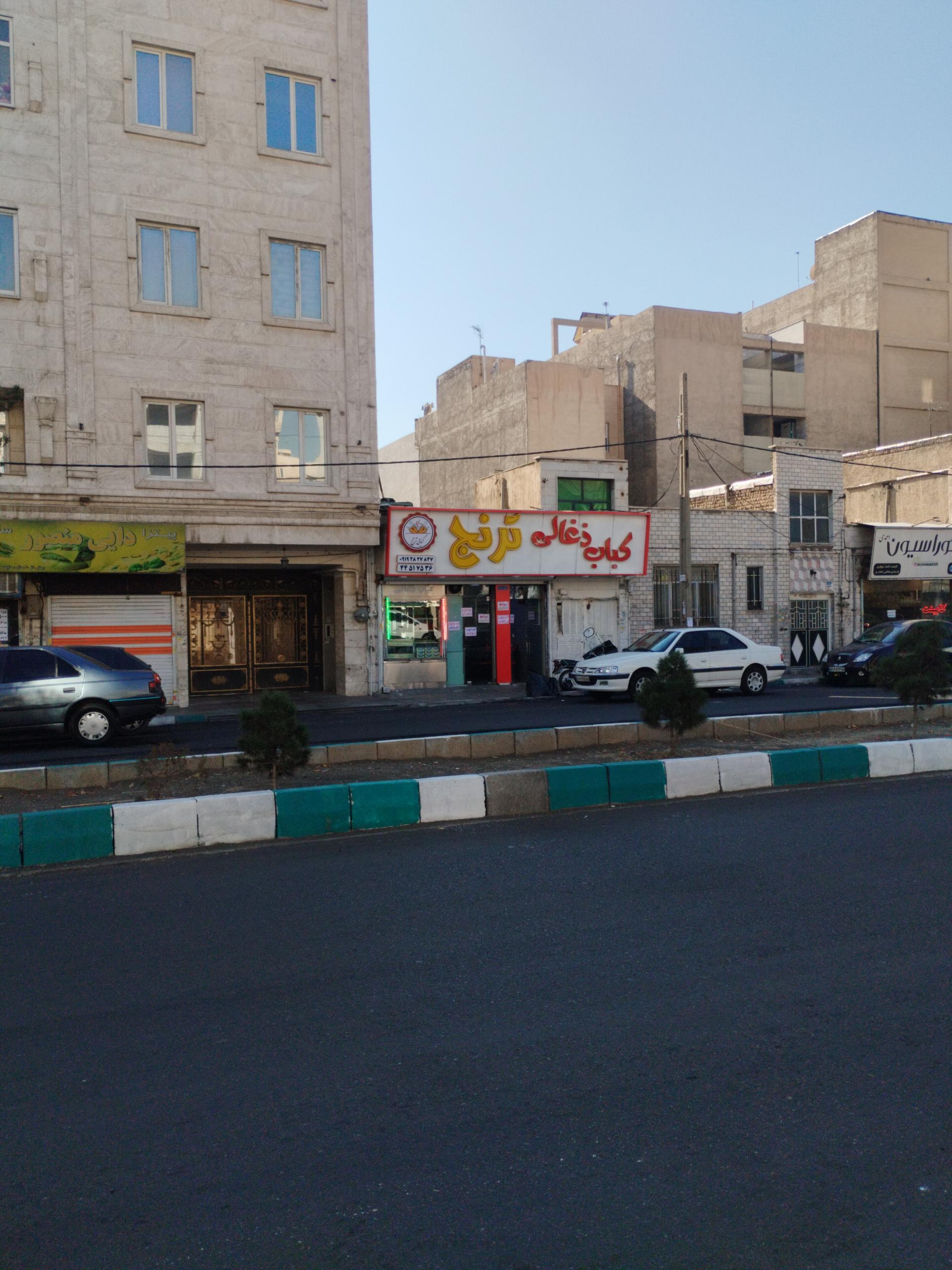 عکس کباب زغالی ترنج