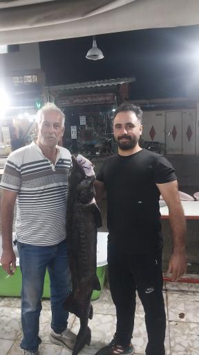 عکس ماهی فروشی پورمعصومی