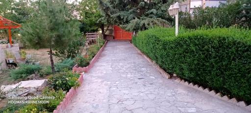 عکس موسسه موسیقی و تئاتر  چکاوک