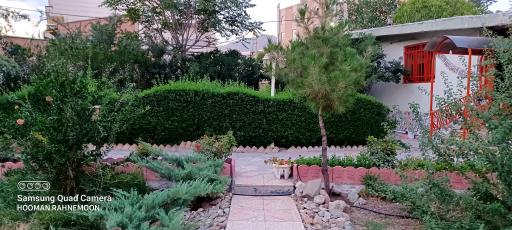 عکس موسسه موسیقی و تئاتر  چکاوک