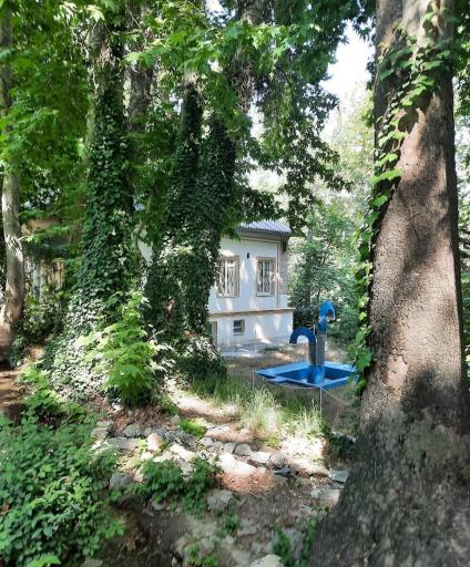 عکس موزه آب