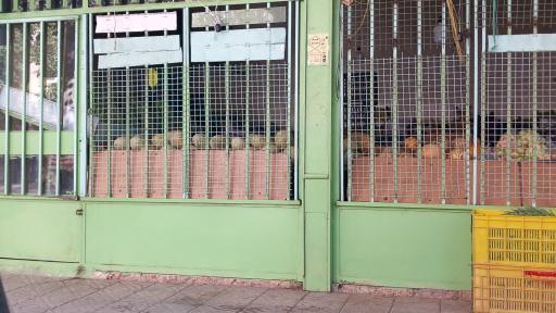 عکس میوه و سبزی فروشی