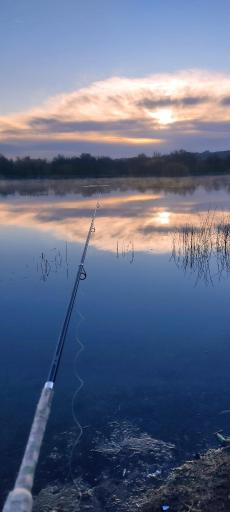 عکس فروشگاه ماهیگیری کمپ فیشینگ