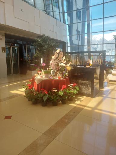 عکس برج های دو قلوی تهران