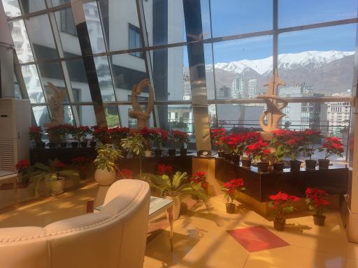 عکس برج های دو قلوی تهران