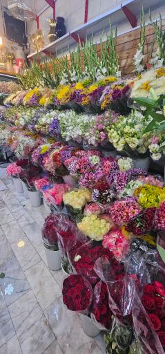 عکس گلفروشی سعید 