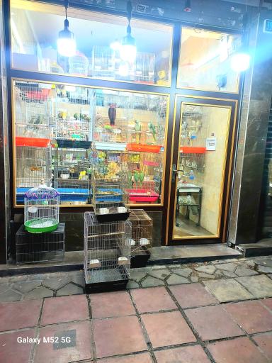 عکس سرزمین پرندگان بهزاد 