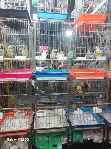 عکس سرزمین پرندگان بهزاد 