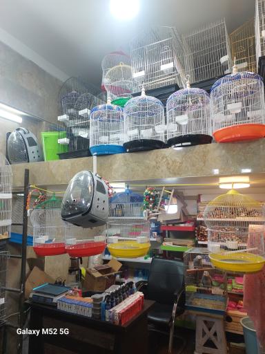 سرزمین پرندگان بهزاد 