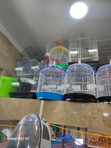 عکس سرزمین پرندگان بهزاد 