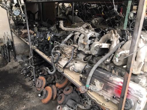 عکس استوک یدک علیزاده 