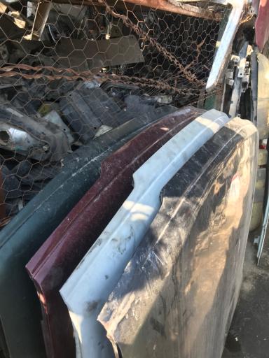 عکس استوک یدک علیزاده 