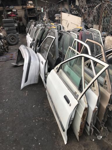 عکس استوک یدک علیزاده 