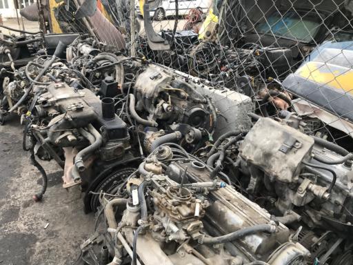 عکس استوک یدک علیزاده 