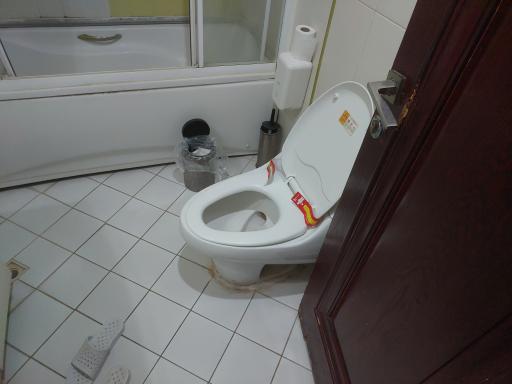 عکس هتل تاوریژ